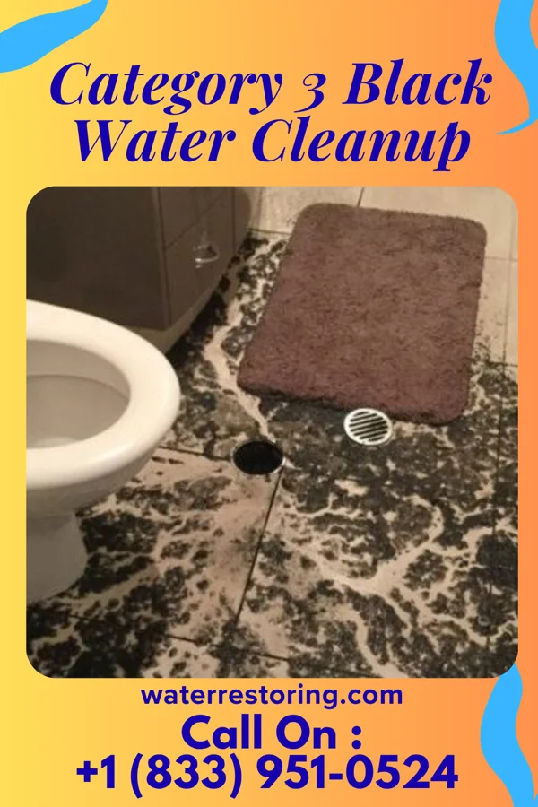 Category 3 Black Water Cleanup in Fort Clark Springs, TX