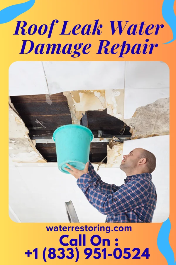 Roof Leak Water Damage Repair in Fort Clark Springs, TX